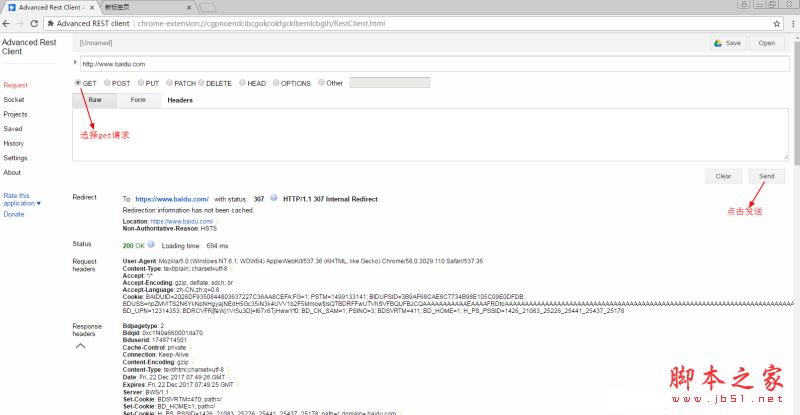 Advanced REST Client