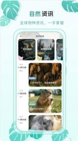 百科物语app软件官方正版下载图片1
