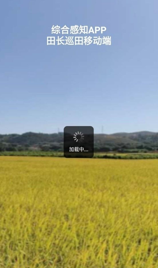 综合感知